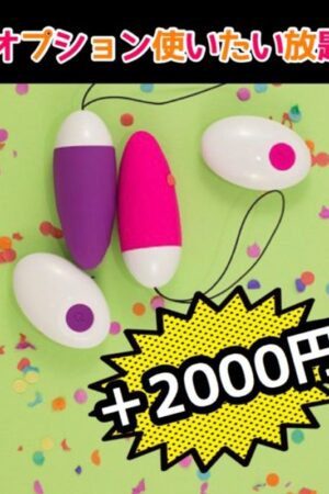 オプション使い放題＋２０００円